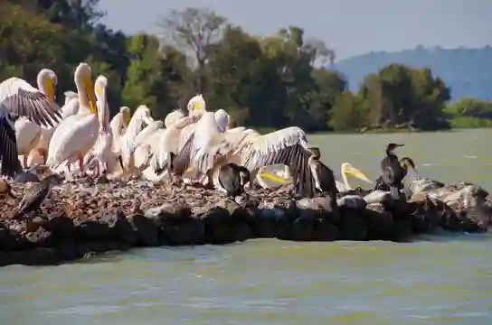 Lake Tana